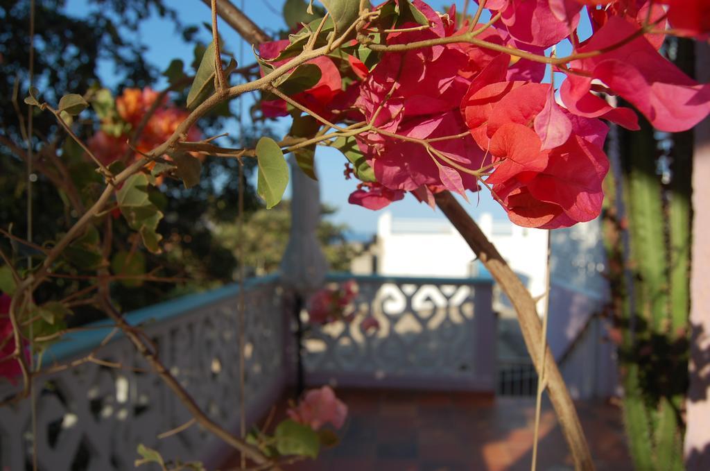 Casa Bella Mya Hotel Taganga Ngoại thất bức ảnh